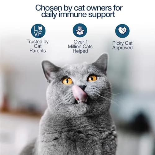 Pet Health Solutions Felisyl L-Lysine Granules for Cats 100g (3.5 oz) Supports Immune & Respiratory Health thumbnail 3