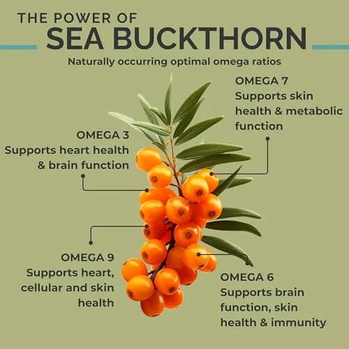 SEABUCKWONDERS Organic Sea Buckthorn Oil Omega-7 Complete, 60 Softgels | Supports Skin & Immunity thumbnail 4