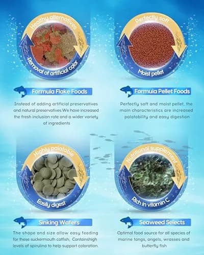 Ocean Nutrition Fish Feeder Seaweed Clips for Saltwater Fish | Aquarium Suction Cups, Holds Food Intact, Prolongs Feeding Process (1 Count, Pack of 36) thumbnail 8