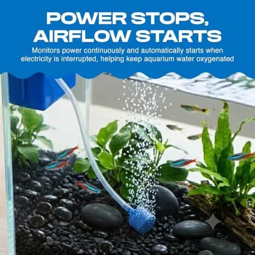 Penn-Plax Silent-Air Aquarium Air Pump with Battery Backup for Fish Tanks up to 29 Gallons | Emergency Power Outage Support (120 chars) thumbnail 2