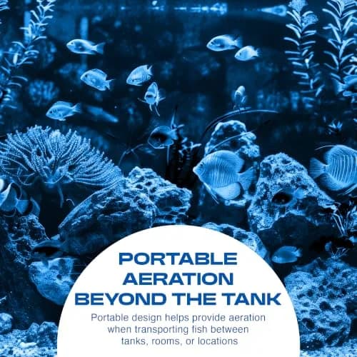 Penn-Plax Silent-Air Aquarium Air Pump with Battery Backup for Fish Tanks up to 29 Gallons | Emergency Power Outage Support (120 chars) thumbnail 3
