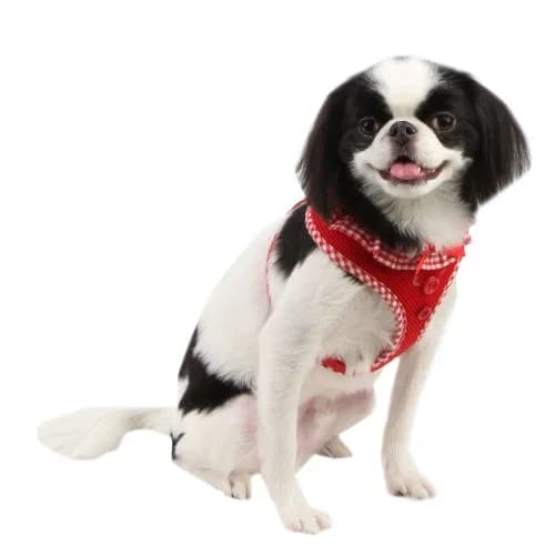 Puppia Vivien Harness Red Large | Breathable Checkered Dog Vest Harness for Large Dogs thumbnail 4