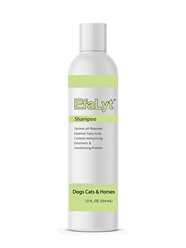 EfaLyt Hypoallergenic Pet Shampoo for Dogs, Cats & Horses | Moisturizing & Gentle, 12 fl oz thumbnail 1