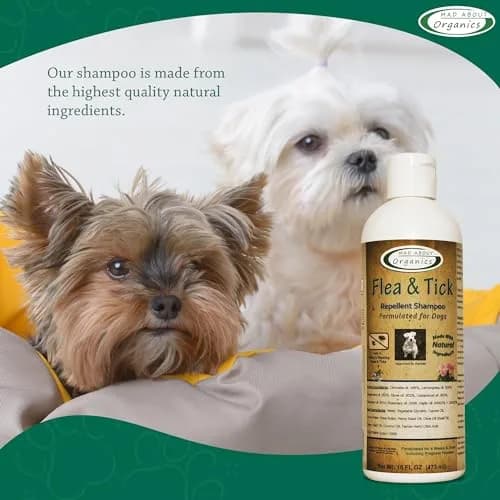 Mad About Organics Flea & Tick Protection Shampoo for Dogs – Gentle, pH Balanced, 16 FL OZ | Natural Shea & Cocoa Butter thumbnail 5