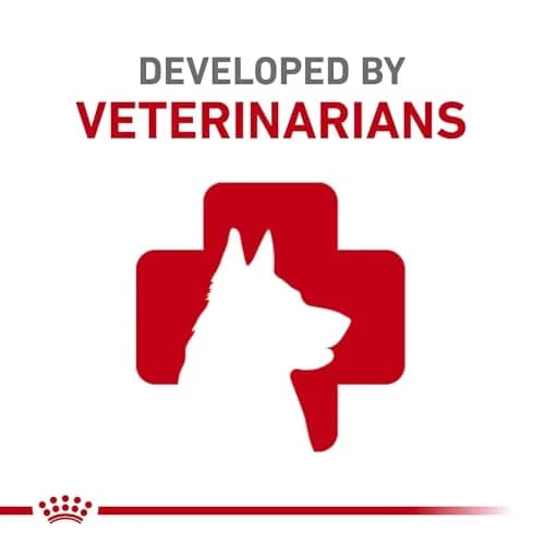 Royal Canin Veterinary Diet Canine Hydrolyzed Protein Adult Dry Dog Food, 17.6 lb Bag | Supports Sensitive Skin & Digestion thumbnail 5