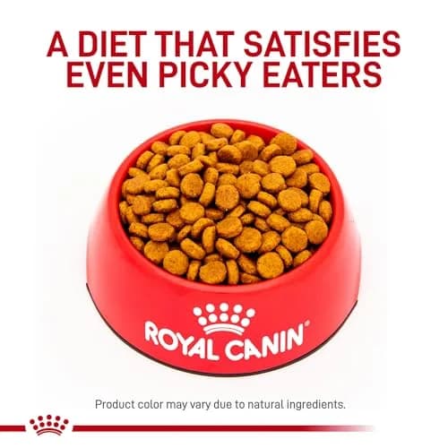 Royal Canin Veterinary Diet Canine Hydrolyzed Protein Adult Dry Dog Food, 17.6 lb Bag | Supports Sensitive Skin & Digestion thumbnail 2