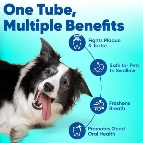 Virbac C.E.T. Enzymatic Toothpaste Vanilla Mint Flavor 70g (2.5 oz) | Vet Recommended Tartar & Plaque Control thumbnail 2
