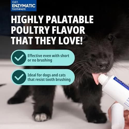 Virbac C.E.T. Oral Hygiene Kit for Dogs & Cats, Poultry Flavor Toothpaste with Dual-Ended Toothbrush & Fingerbrush (1 Kit) thumbnail 4