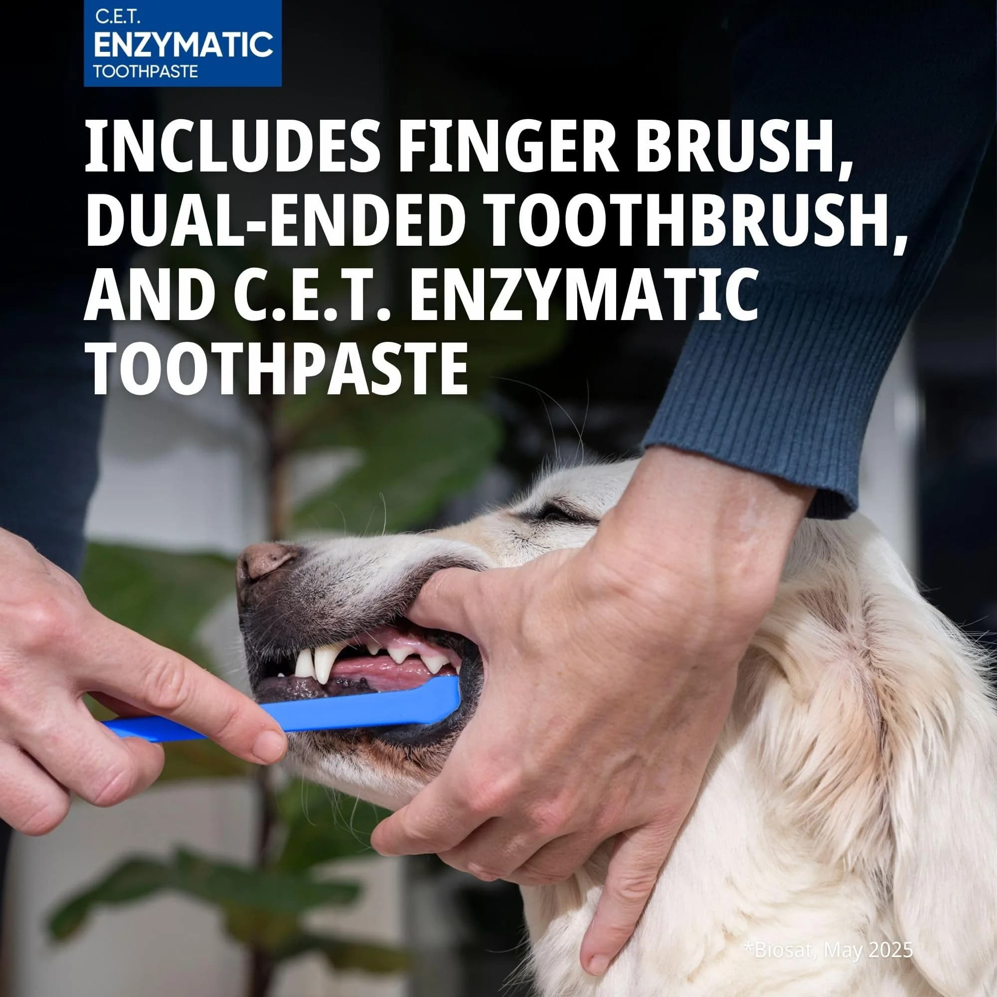 C.E.T. Oral Hygiene Kit for Dogs, Poultry flavor Toothpaste with Toothbrush thumbnail 5