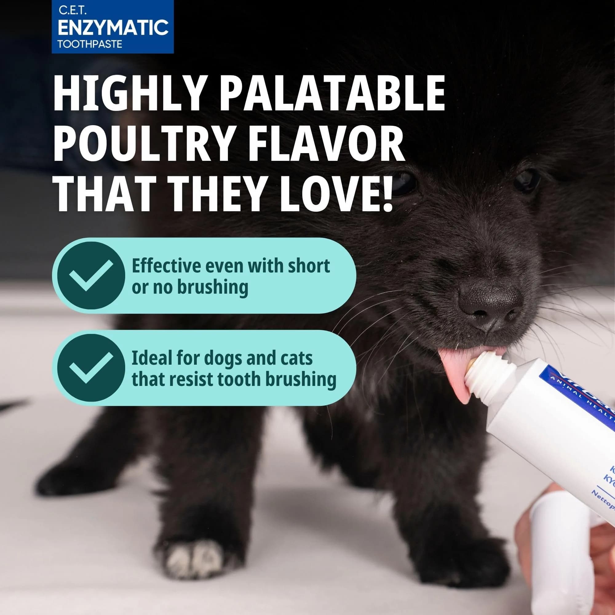 C.E.T. Oral Hygiene Kit for Dogs, Poultry flavor Toothpaste with Toothbrush thumbnail 4