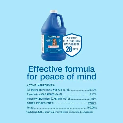 ADAMS Plus Flea & Tick Shampoo with Precor for Dogs, Cats, Puppies & Kittens 3.78 L (1 Gallon) | Kills Fleas, Ticks, Flea Eggs & Lice thumbnail 8