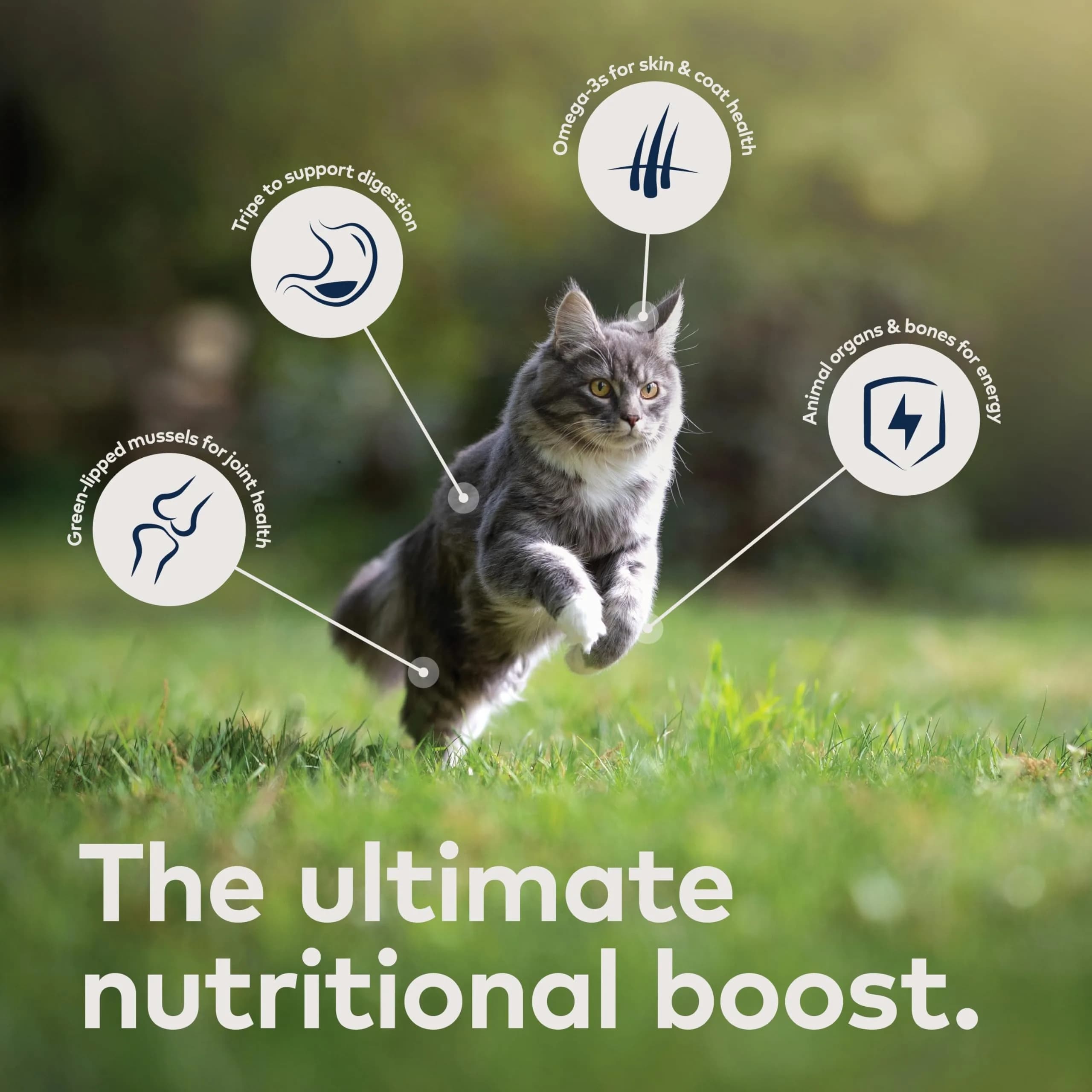 ZIWI Peak Air-Dried Venison Cat Food 400g (14oz) | High Protein, Grain-Free, Novel Protein for Sensitive Stomachs - view 5