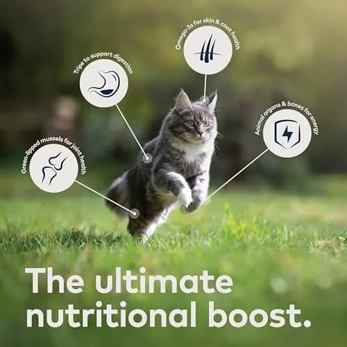 ZIWI Peak Air-Dried Venison Cat Food 400g (14oz) | High Protein, Grain-Free, Novel Protein for Sensitive Stomachs thumbnail 5
