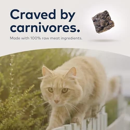 ZIWI Peak Air-Dried Venison Cat Food 400g (14oz) | High Protein, Grain-Free, Novel Protein for Sensitive Stomachs thumbnail 7