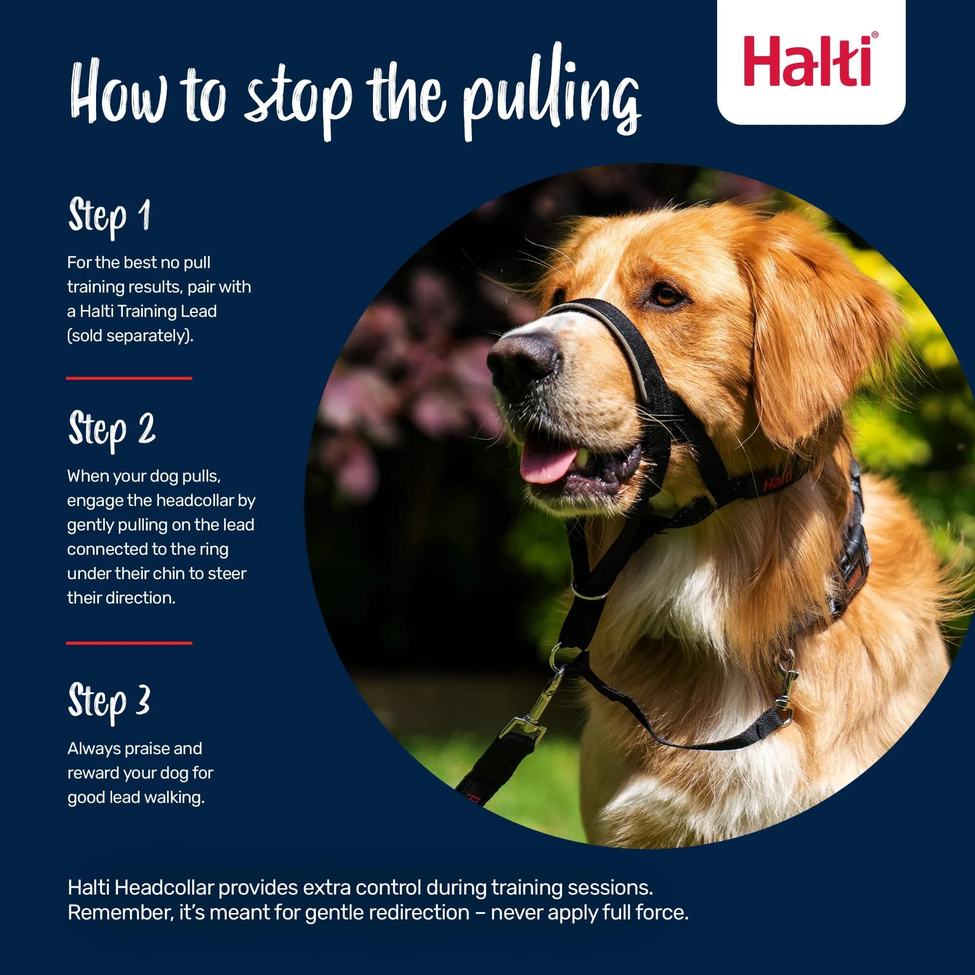 Halti Headcollar Size 2 Black | Stops Dog Pulling on Leash - view 4