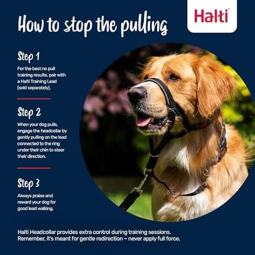 Halti Headcollar Size 3 Black | Gentle No-Pull Training Aid for Medium Dogs thumbnail 4