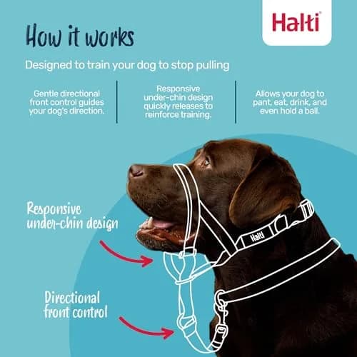 Halti Headcollar Size 3 Black | Gentle No-Pull Training Aid for Medium Dogs thumbnail 2
