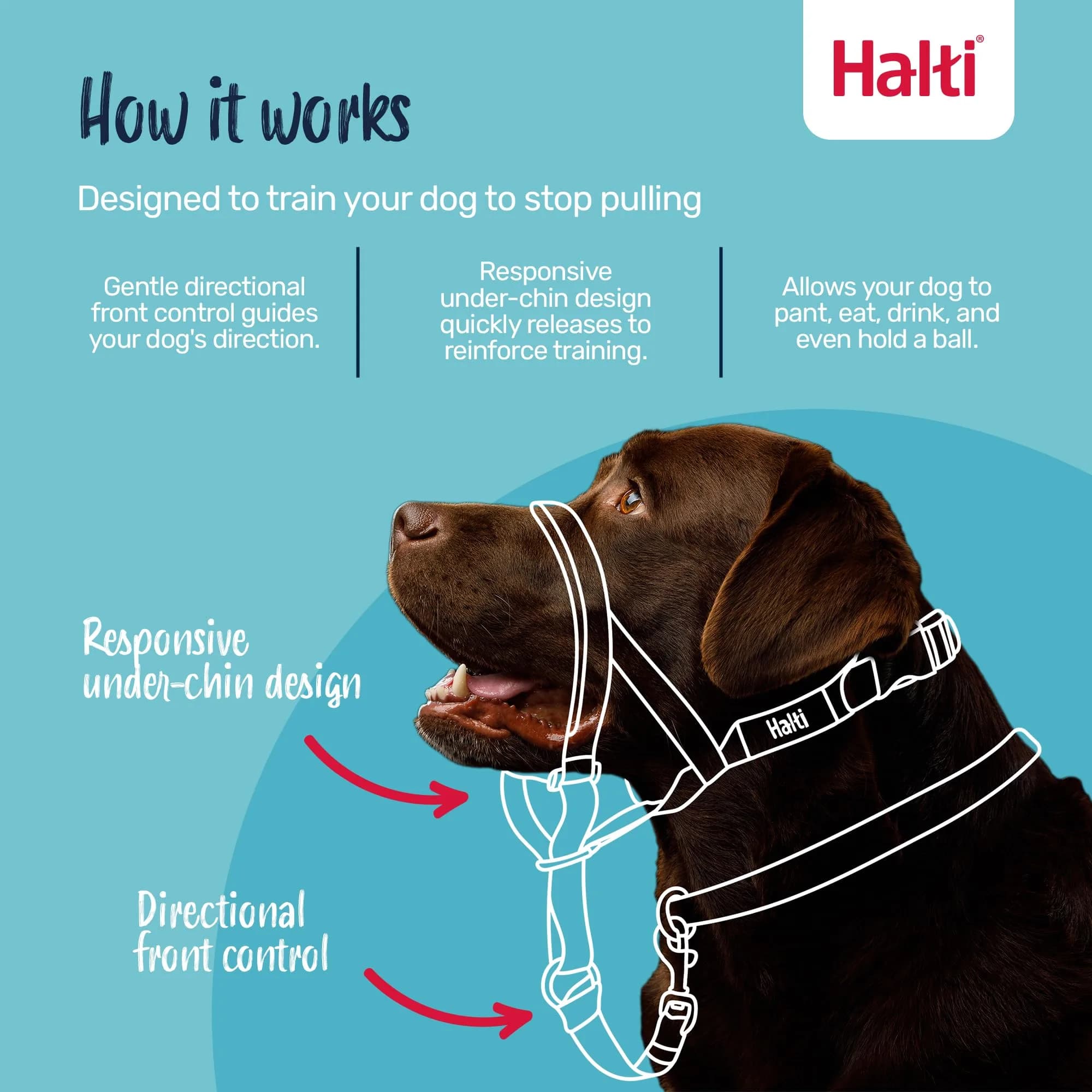 Halti Headcollar Size 3 Black | Gentle No-Pull Training Aid for Medium Dogs - view 2