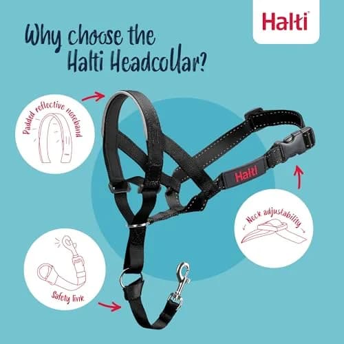 Halti Headcollar Size 3 Black | Gentle No-Pull Training Aid for Medium Dogs thumbnail 3
