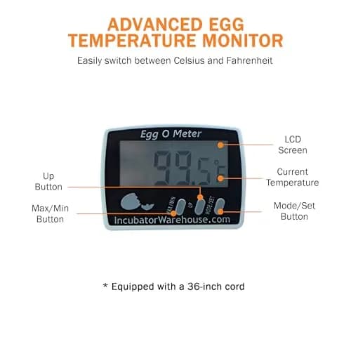 Incubator Warehouse Egg-O-Meter Egg Thermometer with Large LCD, Min/Max Memory, 36-inch Cord, Alarm, Synthetic Egg Probe thumbnail 4