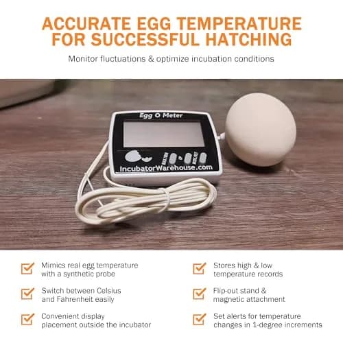 Incubator Warehouse Egg-O-Meter Egg Thermometer with Large LCD, Min/Max Memory, 36-inch Cord, Alarm, Synthetic Egg Probe thumbnail 5