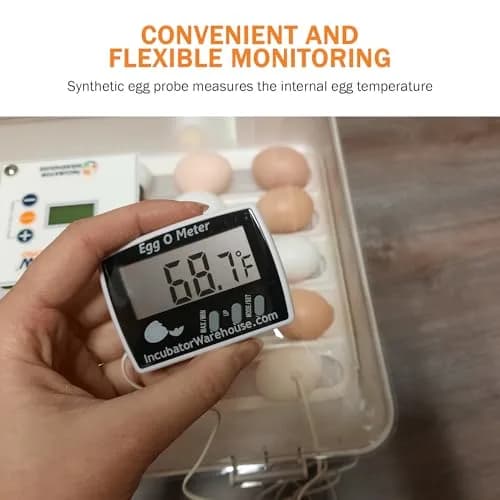 Incubator Warehouse Egg-O-Meter Egg Thermometer with Large LCD, Min/Max Memory, 36-inch Cord, Alarm, Synthetic Egg Probe thumbnail 7
