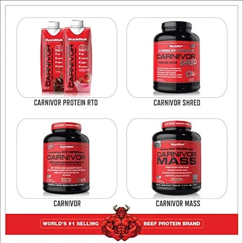 MuscleMeds Amino Decanate Watermelon 13.3 Oz | Full Spectrum Muscle Building Amino Acid Complex thumbnail 5
