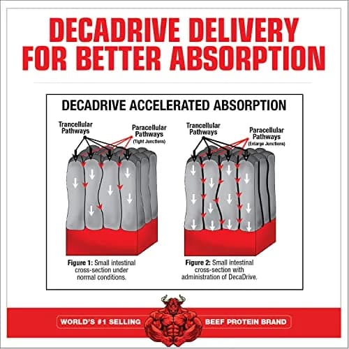 MuscleMeds Amino Decanate Citrus Lime 13.5 oz (384g) | Full Spectrum Amino Acid Complex for Muscle Recovery thumbnail 3