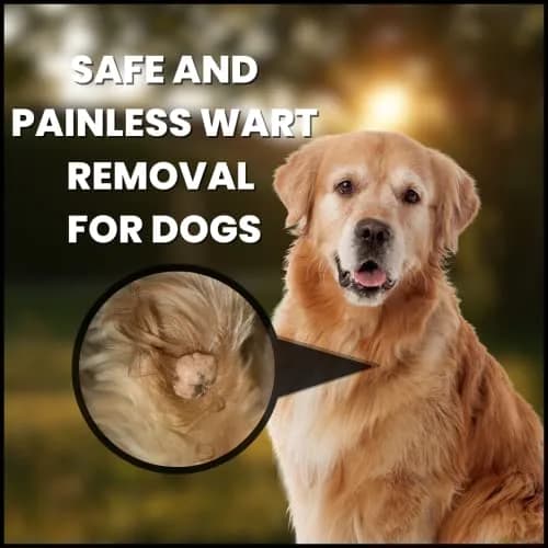 Creative Science WARTSOFF WART Dog and Horse Ointment 4-OZ Jar | Wart Removal for Dogs & Horses thumbnail 6