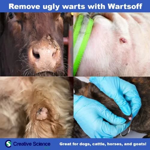 Creative Science WARTSOFF WART Dog and Horse Ointment 4-OZ Jar | Wart Removal for Dogs & Horses thumbnail 4