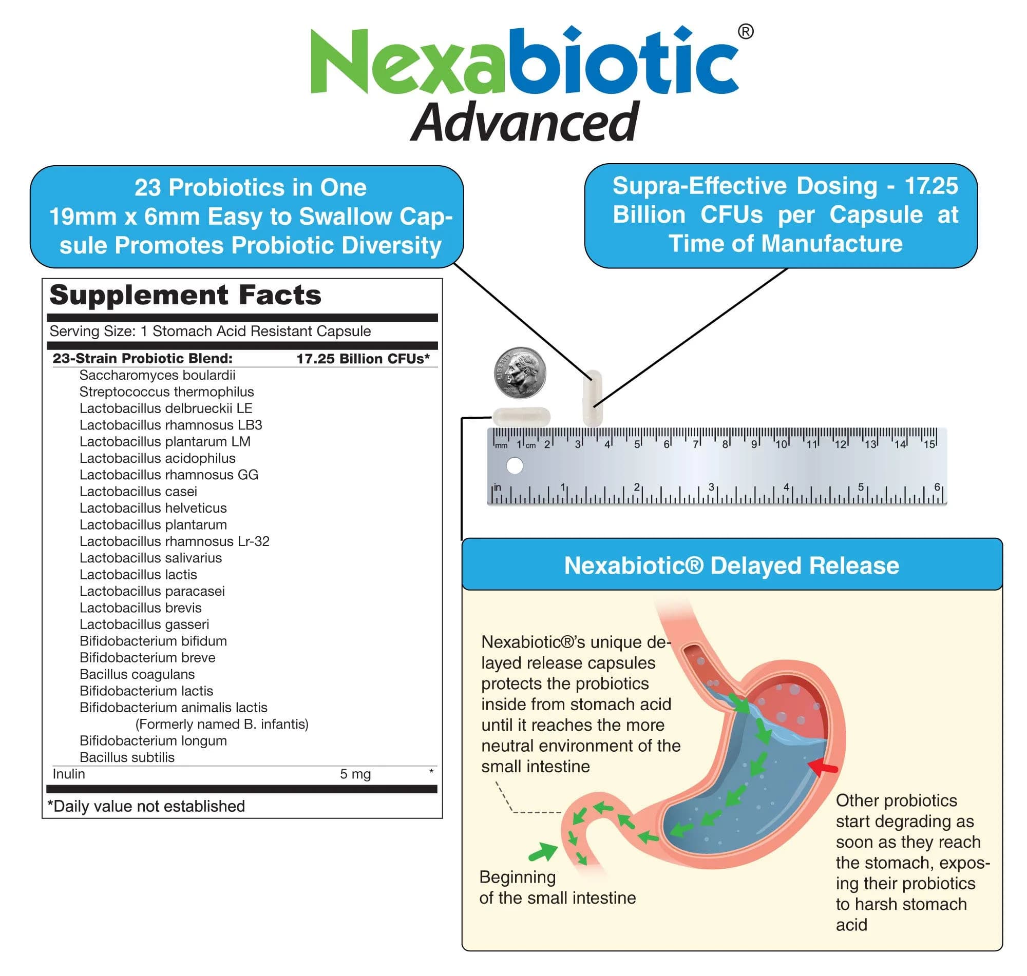 DrFormulas Nexabiotic Multi Probiotic 60 Count Capsules | 34.5 Billion CFUs for Digestive Health - view 4