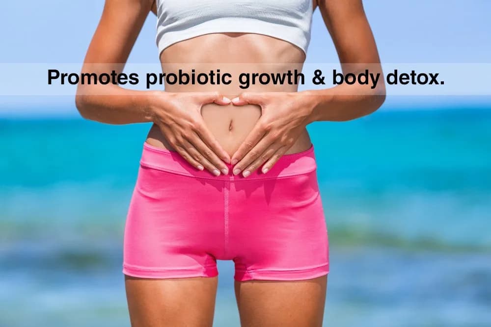 DrFormulas Nexabiotic Multi Probiotic 60 Count Capsules | 34.5 Billion CFUs for Digestive Health - view 5