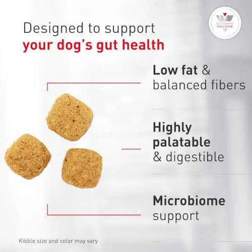 Royal Canin Veterinary Diet Canine Gastrointestinal Low Fat Adult Dry Dog Food, 28.6 lb Bag | Digestive Support for Sensitive Dogs thumbnail 5