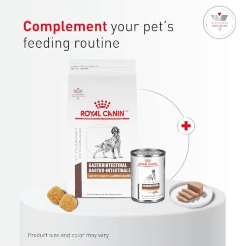 Royal Canin Veterinary Diet Canine Gastrointestinal Low Fat Adult Dry Dog Food, 28.6 lb Bag | Digestive Support for Sensitive Dogs thumbnail 6