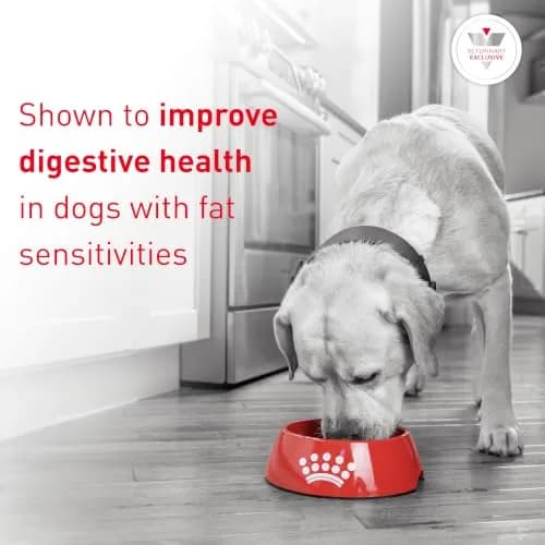 Royal Canin Veterinary Diet Canine Gastrointestinal Low Fat Adult Dry Dog Food, 28.6 lb Bag | Digestive Support for Sensitive Dogs thumbnail 2