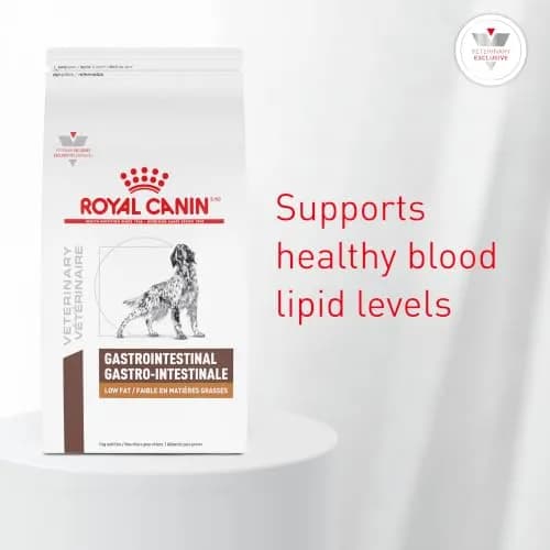 Royal Canin Veterinary Diet Canine Gastrointestinal Low Fat Adult Dry Dog Food, 28.6 lb Bag | Digestive Support for Sensitive Dogs thumbnail 3