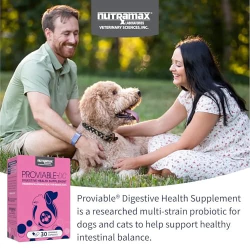 Nutramax Proviable Probiotics for Dogs & Cats Sprinkle Capsules 30 Count | Multi-Strain Gut Health Support thumbnail 3