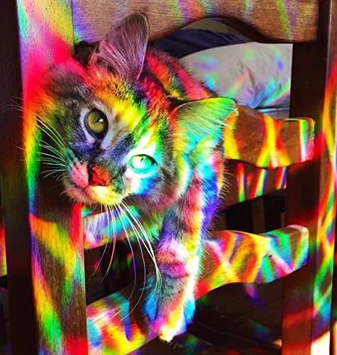 Rainbow Symphony Rainbow Window Suncatcher – Prism Light Catcher for Windows Creates Vibrant Rainbows – 4" Hanging Sun Catcher with Axicon Pattern and Bonus Decal – Made in USA thumbnail 2