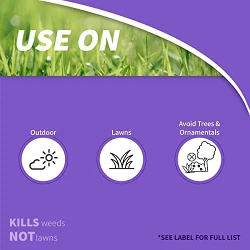 Bonide Chickweed, Clover & Oxalis Killer, 16 oz Concentrate | Powerful Weed Control for Lawns thumbnail 2