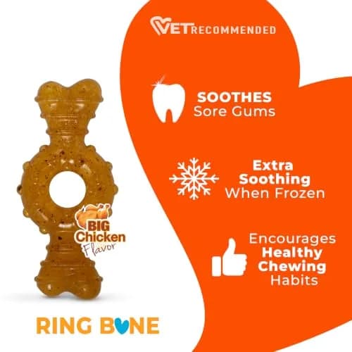 Nylabone Puppy Chew Teething Ring Bone Dog Toy, Chicken Flavor, X-Small (1.75 in Height x 3.75 in Length x 0.5 in Width) thumbnail 4