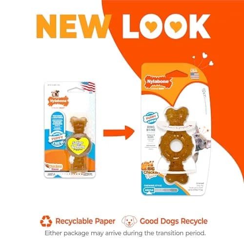 Nylabone Puppy Chew Teething Ring Bone Dog Toy, Chicken Flavor, X-Small (1.75 in Height x 3.75 in Length x 0.5 in Width) thumbnail 3