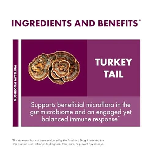 Host Defense Turkey Tail Capsules 120 Count | Digestive Health & Immune Response Support thumbnail 6