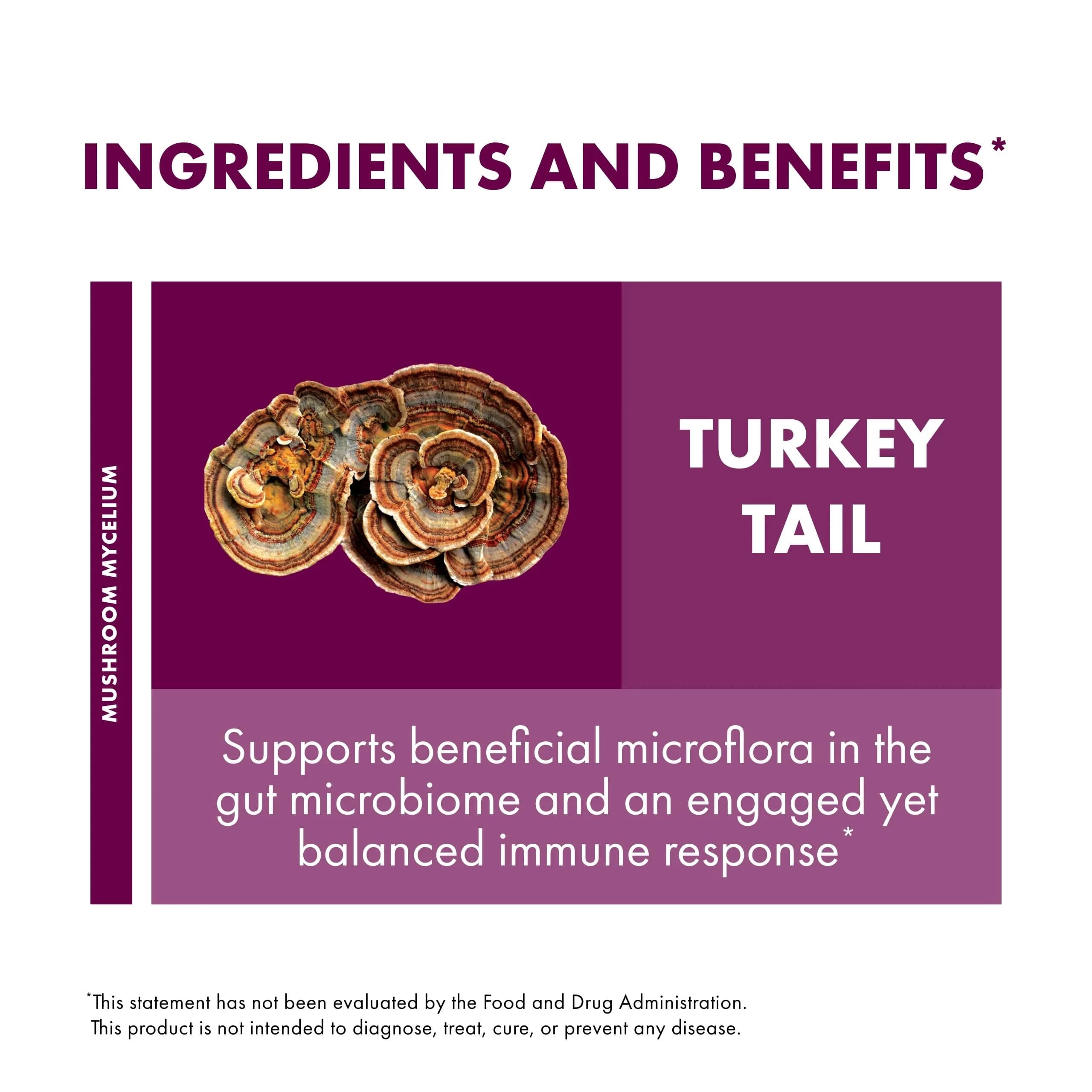Host Defense Turkey Tail Capsules 120 Count | Digestive Health & Immune Response Support - view 6