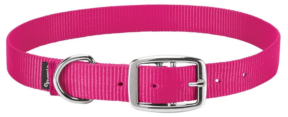 Weaver Livestock Goat Collar, Pink Fusion, Small | Durable nylon with nickel hardware