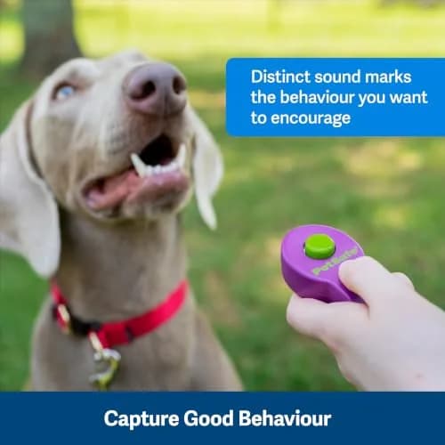 PetSafe Clik-R Dog Training Clicker, Purple | Ergonomic & Comfortable for All Ages thumbnail 5