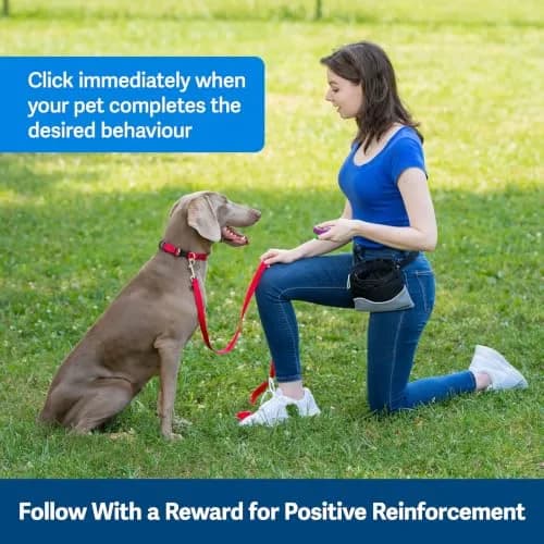 PetSafe Clik-R Dog Training Clicker, Purple | Ergonomic & Comfortable for All Ages thumbnail 6