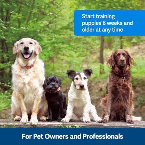 PetSafe Clik-R Dog Training Clicker, Purple | Ergonomic & Comfortable for All Ages thumbnail 3