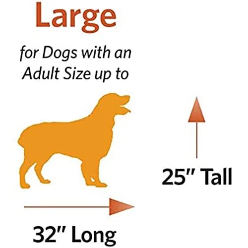 MidWest Homes for Pets Large Ovation Single Door Folding Dog Crate 43.5"L x 28.5"W x 30.5"H | Space-Saving Patented Door thumbnail 5