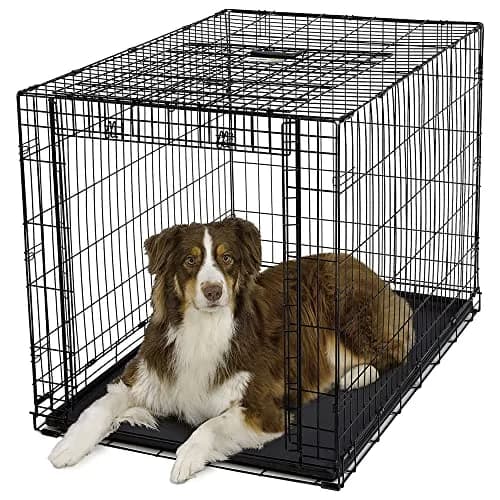 MidWest Homes for Pets Large Ovation Single Door Folding Dog Crate 43.5"L x 28.5"W x 30.5"H | Space-Saving Patented Door thumbnail 6