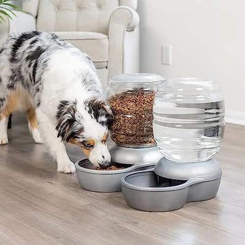Petmate Replendish Gravity Waterer 2.5 Gallon (9.5L) Blue | Continuous Filtered Water Supply for Dogs & Cats thumbnail 2